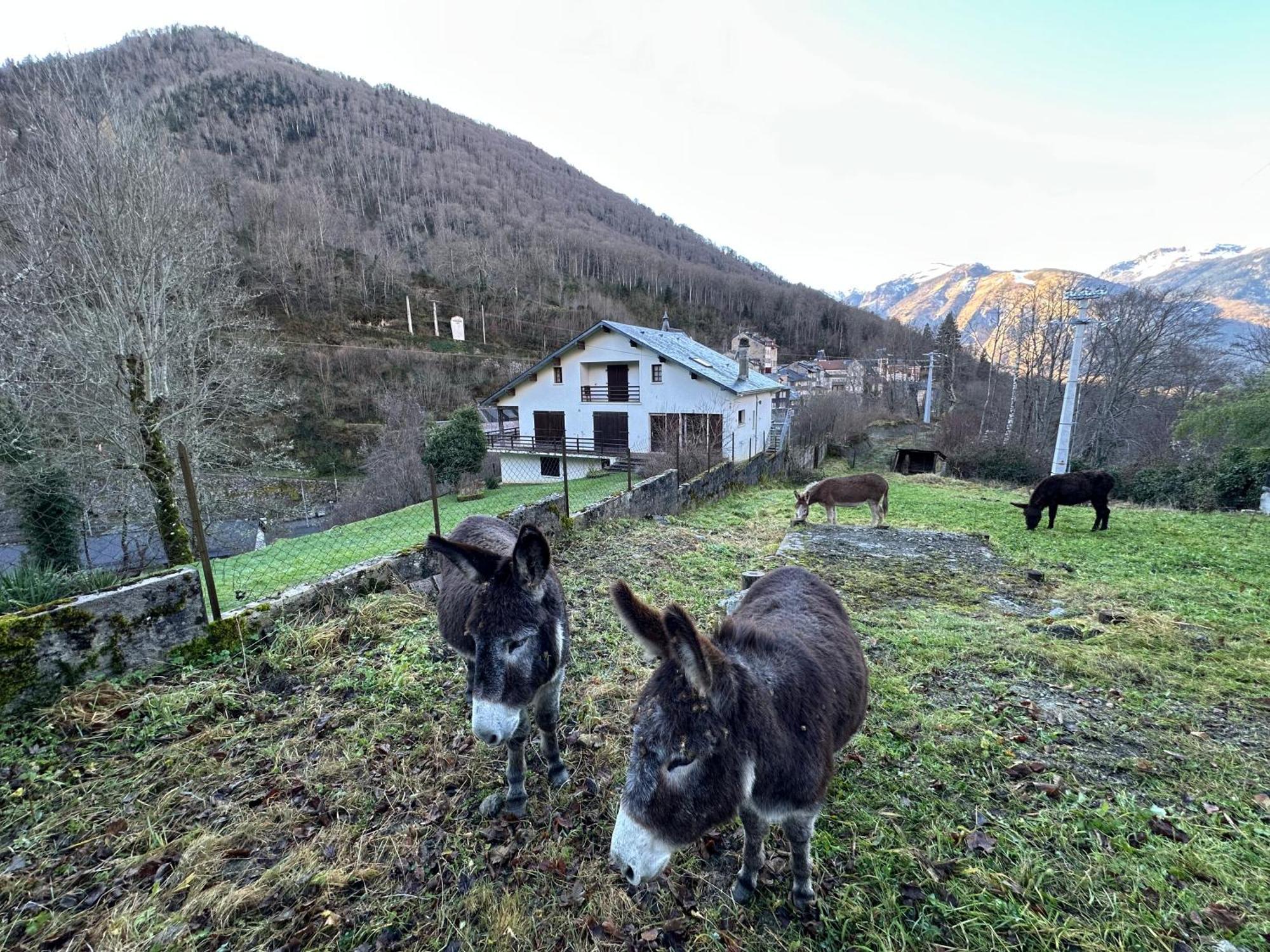 Chalet Artigalas Eaux-Bonnes Zewnętrze zdjęcie